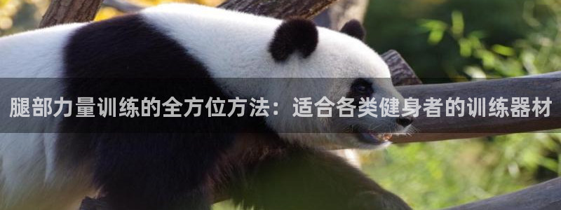 意昂体育5(KGAME)平台假的吗是真的吗吗：腿部力量训练的