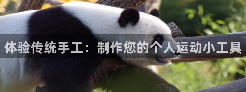 意昂5(KGAME)开户