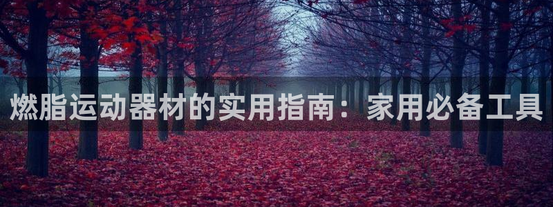 意昂体育5(KGAME)平台假的吗是真的吗