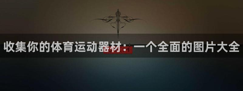 意昂5(KGAME)科技：收集你的体育运动器材：一个全面的图