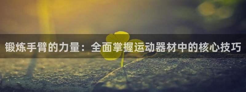 意昂体育5(KGAME)平台是正规平台吗知乎：锻炼手臂的力量