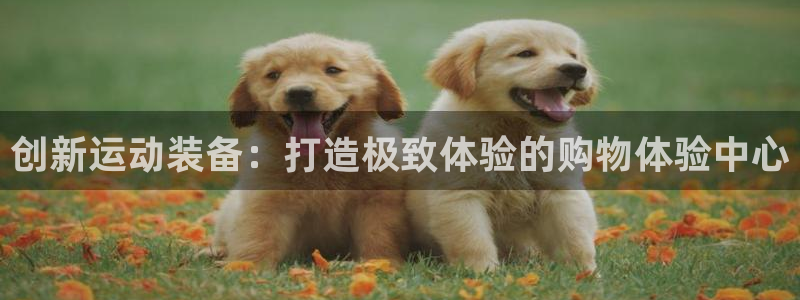 意昂5(KGAME)娱乐代理怎么样：创新运动装备：打造极致体