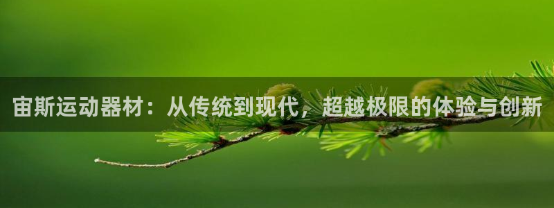 意昂5(KGAME)娱乐首页官网下载：宙斯运动器材：从传统到