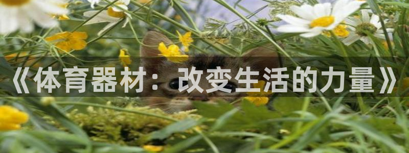 注册意昂5(KGAME)：《体育器材：改变生活的力量》