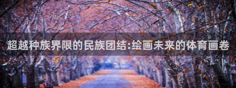 中欧体育在线：超越种族界限的民族团结:绘画未来的体育画卷