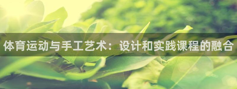 中欧体育kok官网首页：体育运动与手工艺术：设计和实践课程的融合