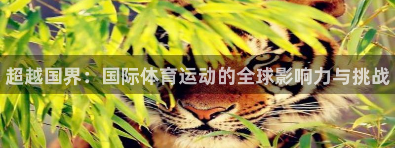 中欧体育官网入口：超越国界：国际体育运动的全球影响力与挑战