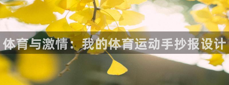 中欧体育kok官网首页：体育与激情：我的体育运动手抄报设计