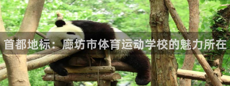 中欧体育客服：首都地标：廊坊市体育运动学校的魅力所在