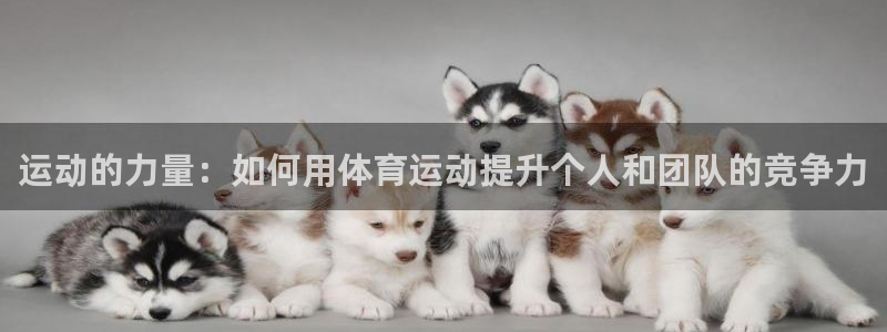 中欧体育zoty下载：运动的力量：如何用体育运动提升个人和团队的竞争力