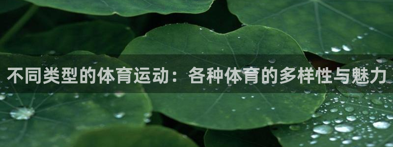 中欧体育ac米兰：不同类型的体育运动：各种体育的多样性与魅力