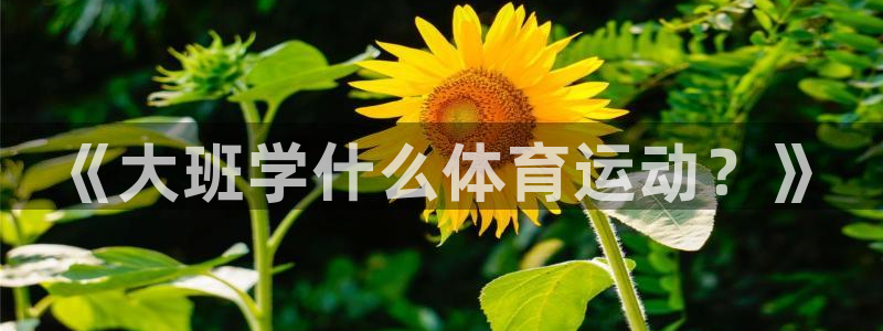 中欧体育全站app：《大班学什么体育运动？》